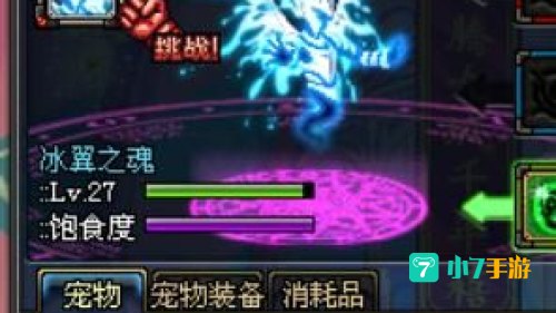 dnf宠物冰翼之魂